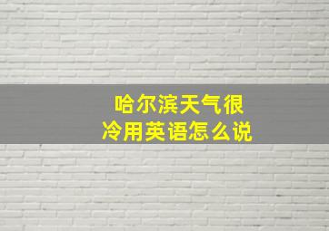 哈尔滨天气很冷用英语怎么说