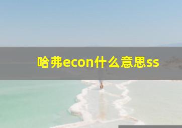 哈弗econ什么意思ss