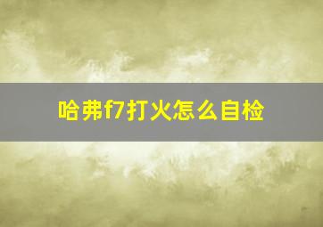 哈弗f7打火怎么自检