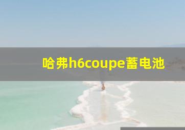 哈弗h6coupe蓄电池