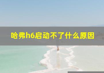 哈弗h6启动不了什么原因