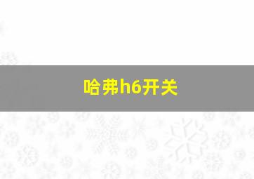 哈弗h6开关