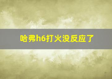 哈弗h6打火没反应了