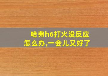 哈弗h6打火没反应怎么办,一会儿又好了