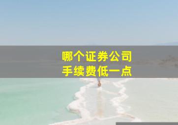 哪个证券公司手续费低一点