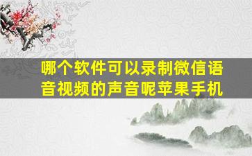 哪个软件可以录制微信语音视频的声音呢苹果手机