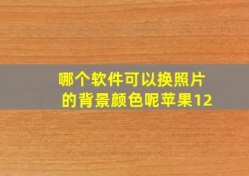 哪个软件可以换照片的背景颜色呢苹果12