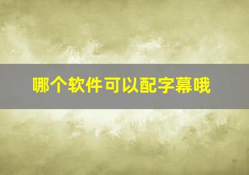 哪个软件可以配字幕哦