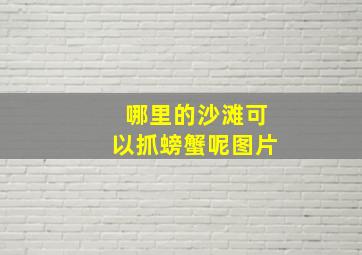 哪里的沙滩可以抓螃蟹呢图片