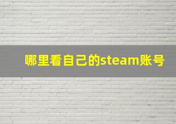 哪里看自己的steam账号