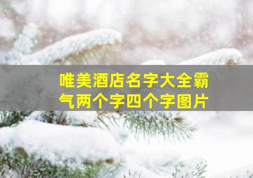 唯美酒店名字大全霸气两个字四个字图片