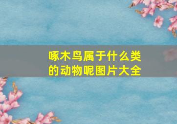 啄木鸟属于什么类的动物呢图片大全