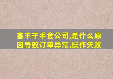 喜羊羊手套公司,是什么原因导致订单异常,操作失败