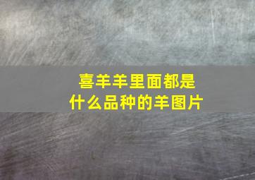 喜羊羊里面都是什么品种的羊图片