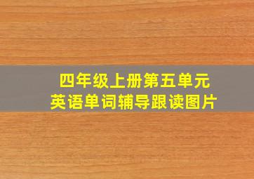 四年级上册第五单元英语单词辅导跟读图片