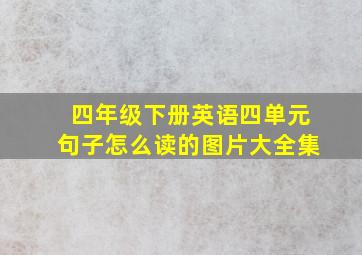 四年级下册英语四单元句子怎么读的图片大全集