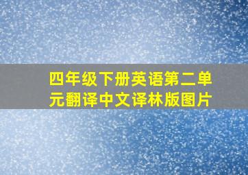 四年级下册英语第二单元翻译中文译林版图片