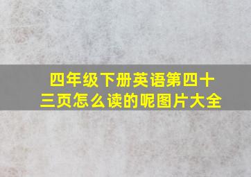 四年级下册英语第四十三页怎么读的呢图片大全