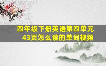 四年级下册英语第四单元43页怎么读的单词视频