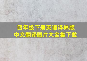 四年级下册英语译林版中文翻译图片大全集下载