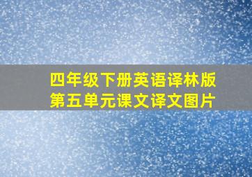 四年级下册英语译林版第五单元课文译文图片