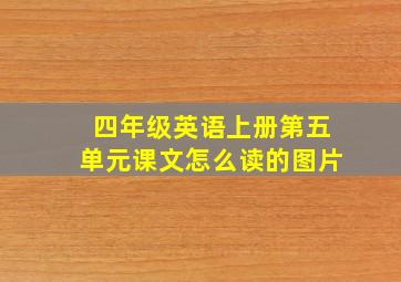 四年级英语上册第五单元课文怎么读的图片