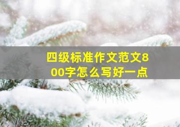 四级标准作文范文800字怎么写好一点