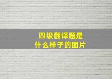 四级翻译题是什么样子的图片