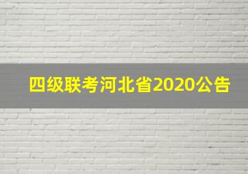 四级联考河北省2020公告