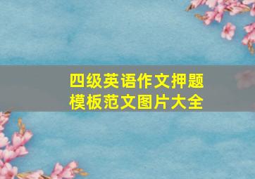 四级英语作文押题模板范文图片大全