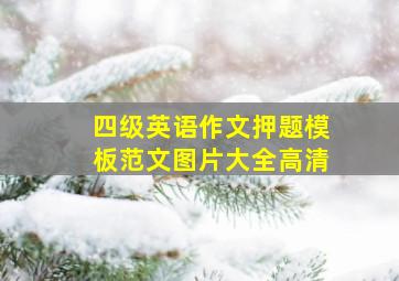 四级英语作文押题模板范文图片大全高清