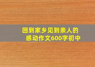 回到家乡见到亲人的感动作文600字初中