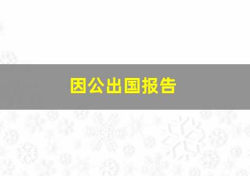 因公出国报告