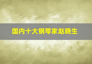 国内十大钢琴家赵晓生