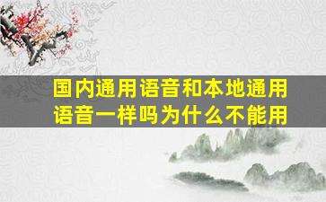 国内通用语音和本地通用语音一样吗为什么不能用