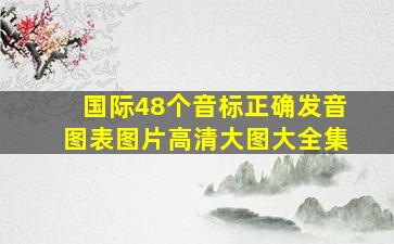 国际48个音标正确发音图表图片高清大图大全集