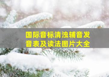 国际音标清浊辅音发音表及读法图片大全