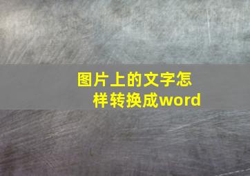 图片上的文字怎样转换成word