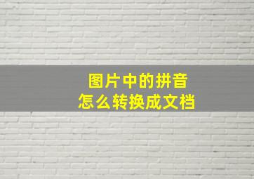 图片中的拼音怎么转换成文档