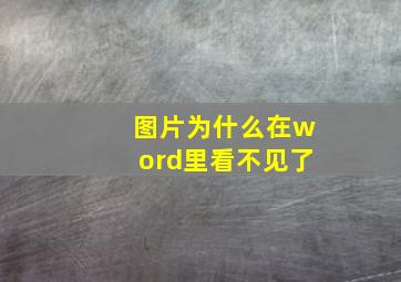 图片为什么在word里看不见了