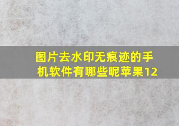 图片去水印无痕迹的手机软件有哪些呢苹果12