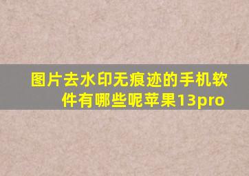 图片去水印无痕迹的手机软件有哪些呢苹果13pro