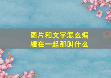 图片和文字怎么编辑在一起那叫什么