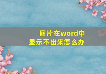 图片在word中显示不出来怎么办