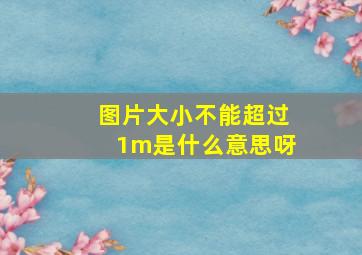 图片大小不能超过1m是什么意思呀