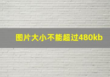 图片大小不能超过480kb