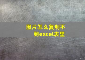 图片怎么复制不到excel表里