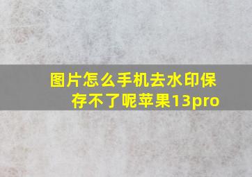 图片怎么手机去水印保存不了呢苹果13pro