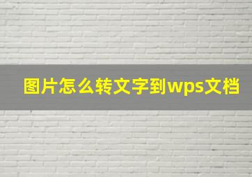 图片怎么转文字到wps文档