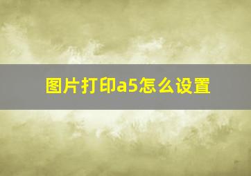 图片打印a5怎么设置